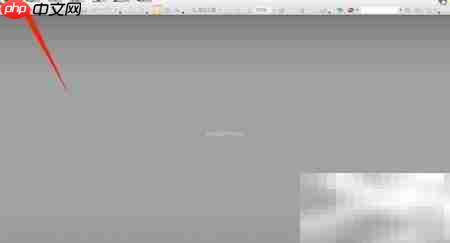 PDF Viewer气泡提示设置