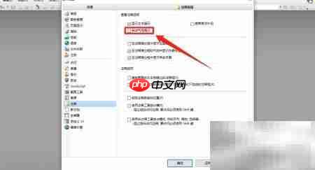 PDF Viewer气泡提示设置
