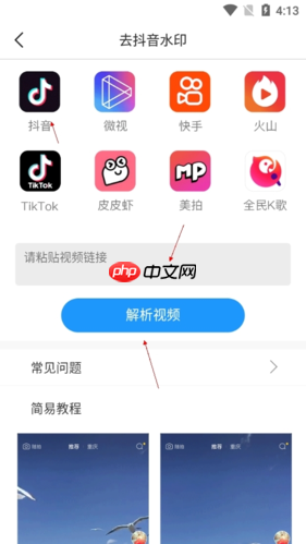 粘贴链接并点击解析的操作步骤示意