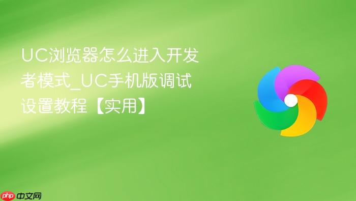 UC浏览器怎么进入开发者模式_UC手机版调试设置教程【实用】