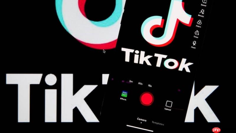 tiktok国际版在线入口