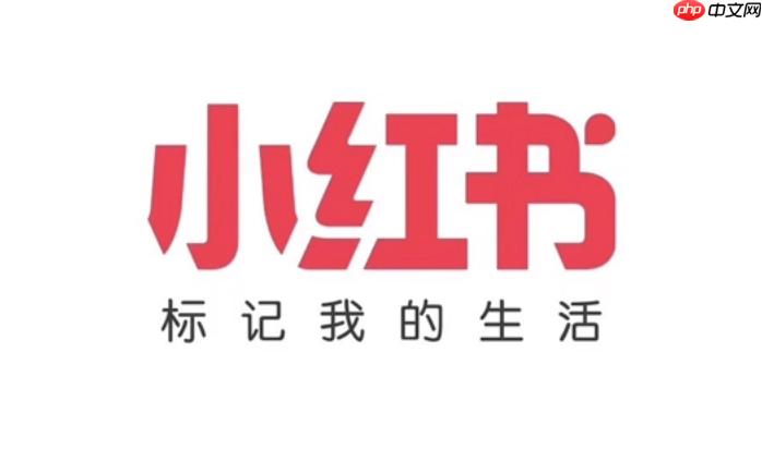 小红书官网首页登录