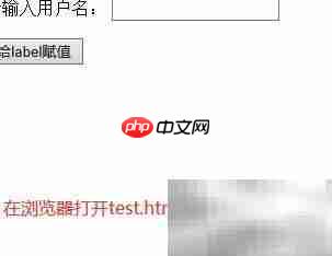 jQuery如何给label赋值