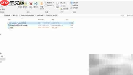 C4D安装运动设计预设包教程