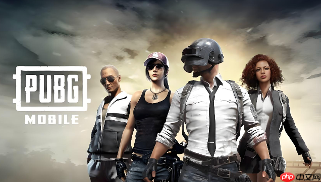 pubg官网入口低配版