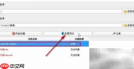 扫描结果列表界面示意图,展示文件状态与修复导出按钮