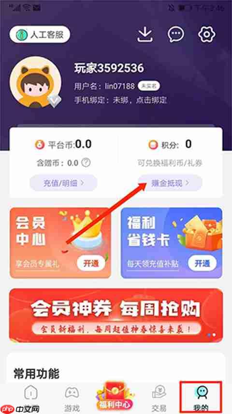 图1:我的页面及‘赚金抵现’入口示意
