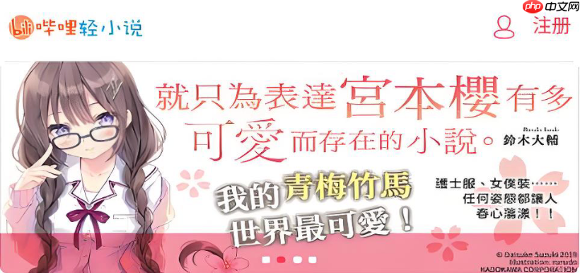 哔哩轻小说正版入口