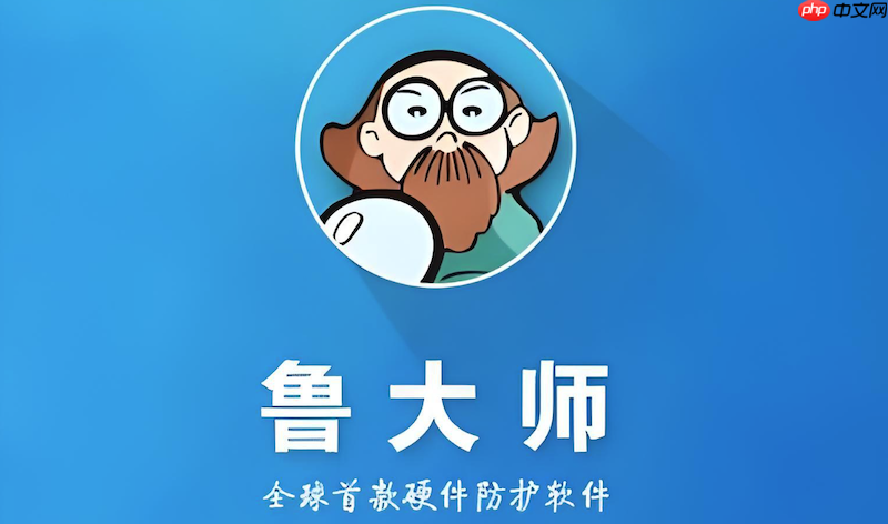 鲁大师硬件健康评分界面示意图