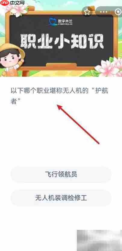 无人机护航者:飞手守护蓝天