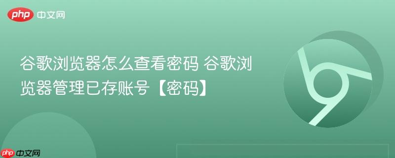 谷歌浏览器怎么查看密码 谷歌浏览器管理已存账号【密码】