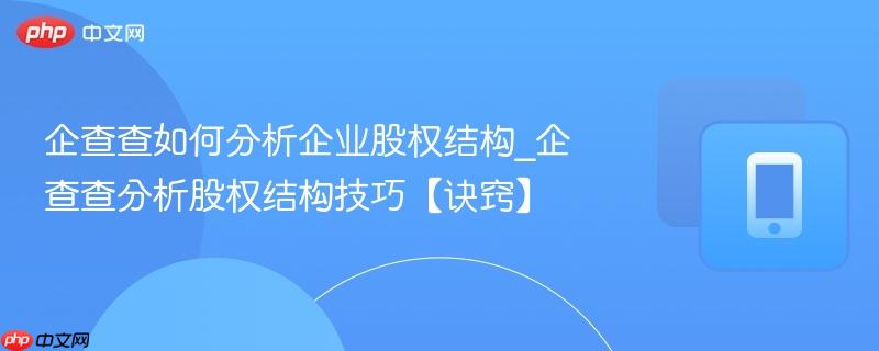 企业股权分析路径示意图
