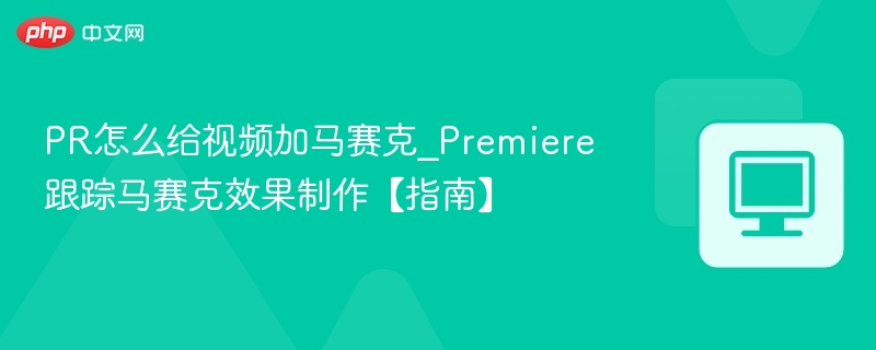 PR怎么给视频加马赛克