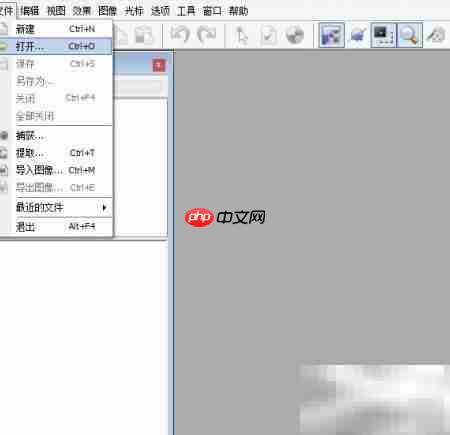 软件语言设置界面