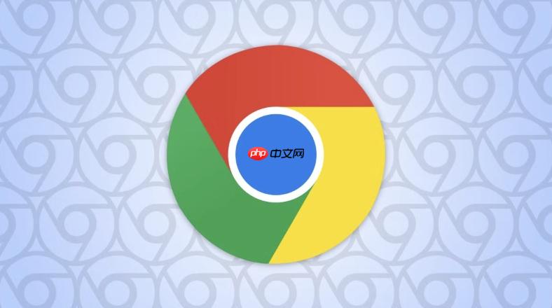 google浏览器怎么查看和删除单个网站的数据