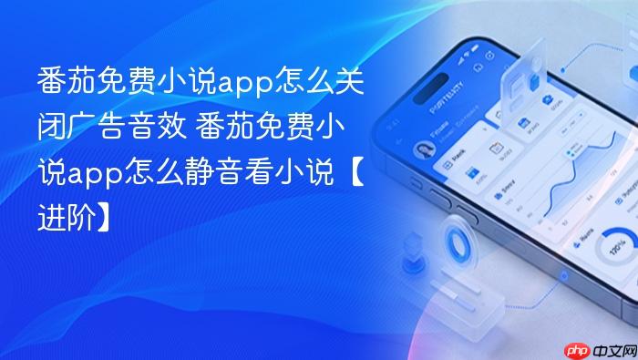 番茄免费小说app怎么关闭广告音效