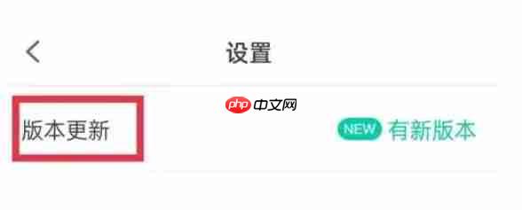 设置页面,红圈标注‘版本更新’选项位置