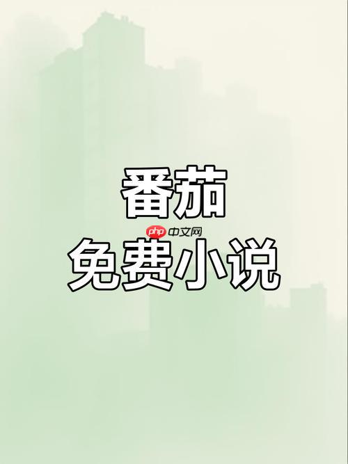 番茄免费小说登录阅读页