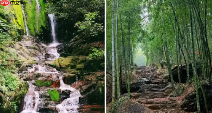 夏日避暑首选莫干山！小众高性价比短途出游攻略