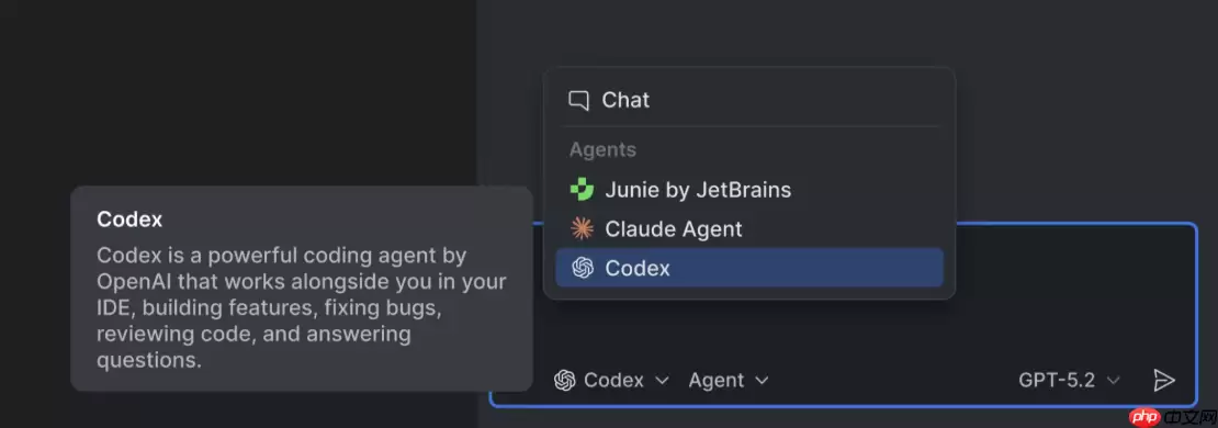 JetBrains IDE 现已集成 OpenAI Codex