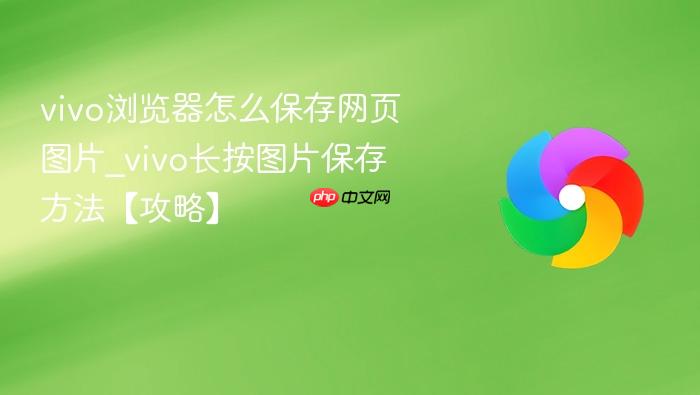 vivo浏览器怎么保存网页图片
