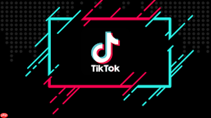 TikTok网页版界面示意图