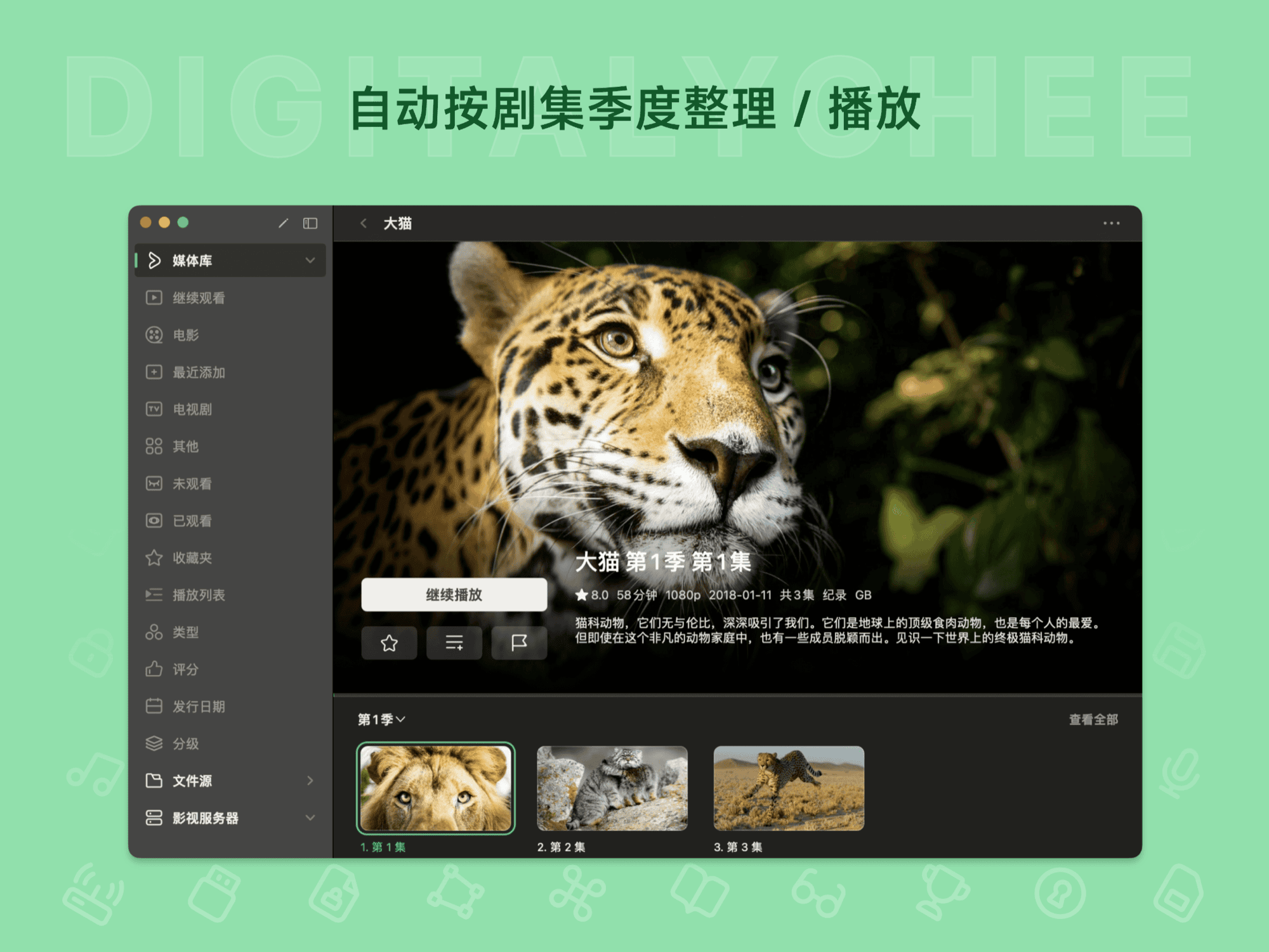 VidHub