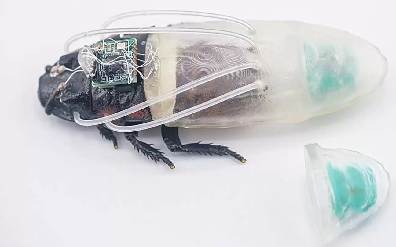 全球首套蟑螂潜水服问世：10×10毫米背负装置，水下存活最长3小时