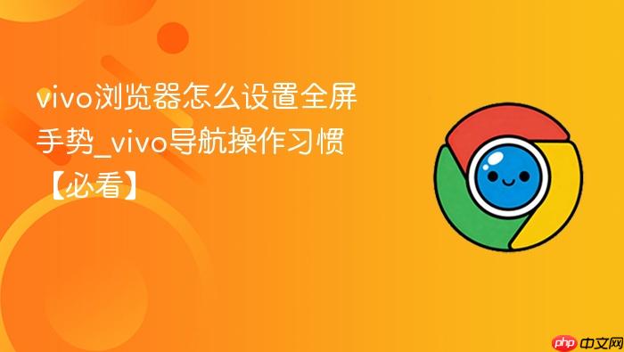 vivo浏览器怎么设置全屏手势