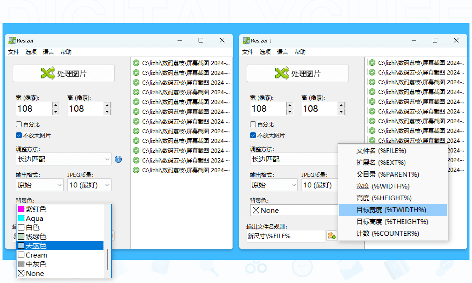 Resizer Pro