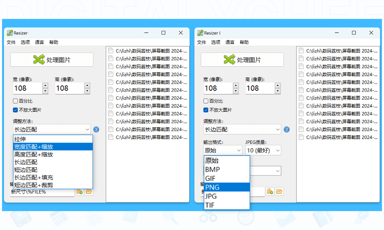 Resizer Pro
