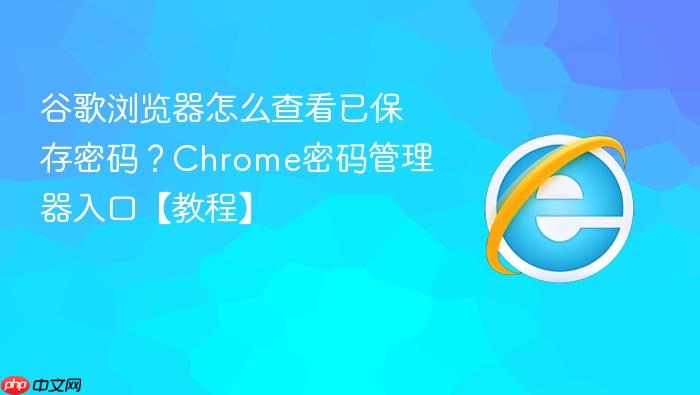 谷歌浏览器怎么查看已保存密码？Chrome密码管理器入口【教程】