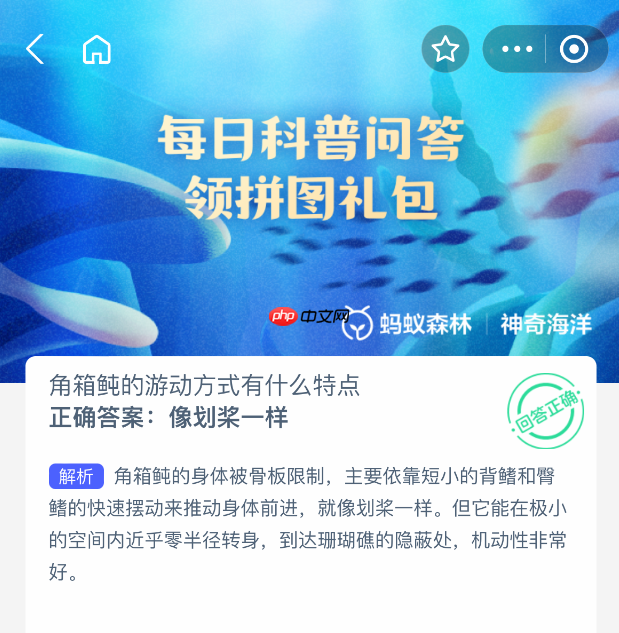 角箱鲀的游动方式有什么特点