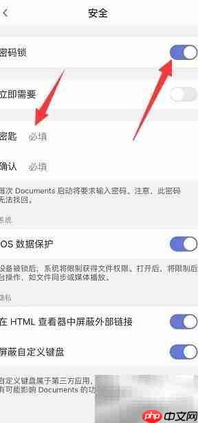 Documents开启密码锁方法