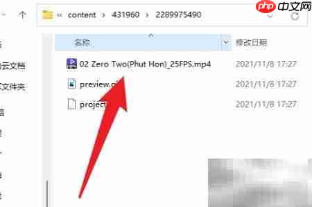 资源管理器中的视频文件示意