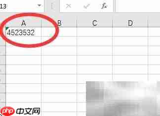 Excel中文本格式是什么