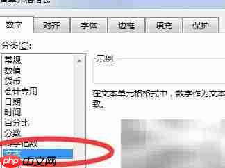 Excel中文本格式是什么