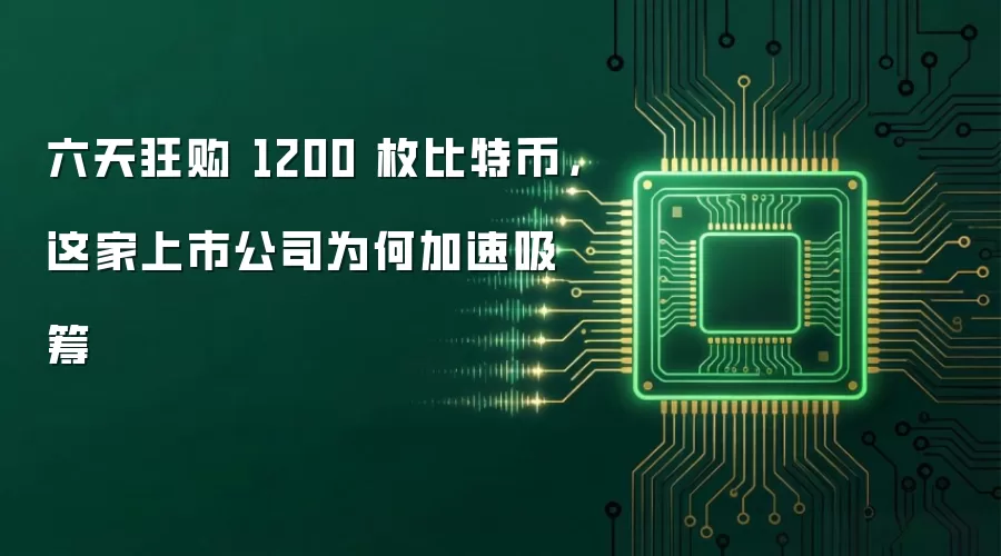 六天狂购 1200 枚比特币,这家上市公司为何加速吸筹