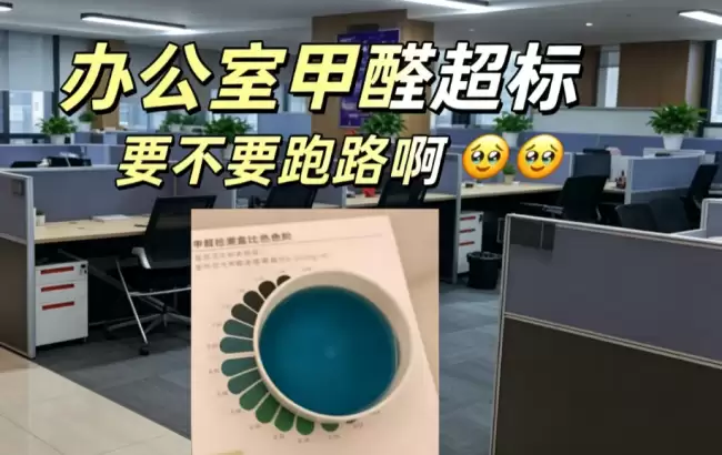 工区甲醛超标，忍还是走？别冲动！先做好防护再谈维权，顺序不能错