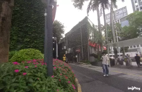 IMG_gzer0a.gif