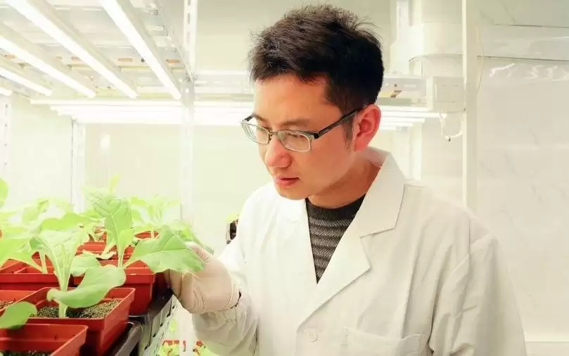 一年发表5篇顶刊论文，这位青年科学家为何偏爱“难而重要”的研究？