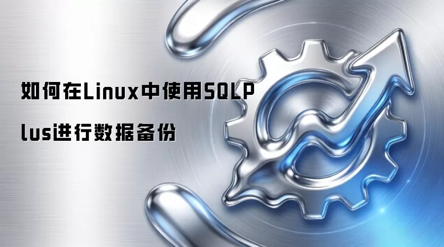 如何在Linux中使用SQLPlus进行数据备份