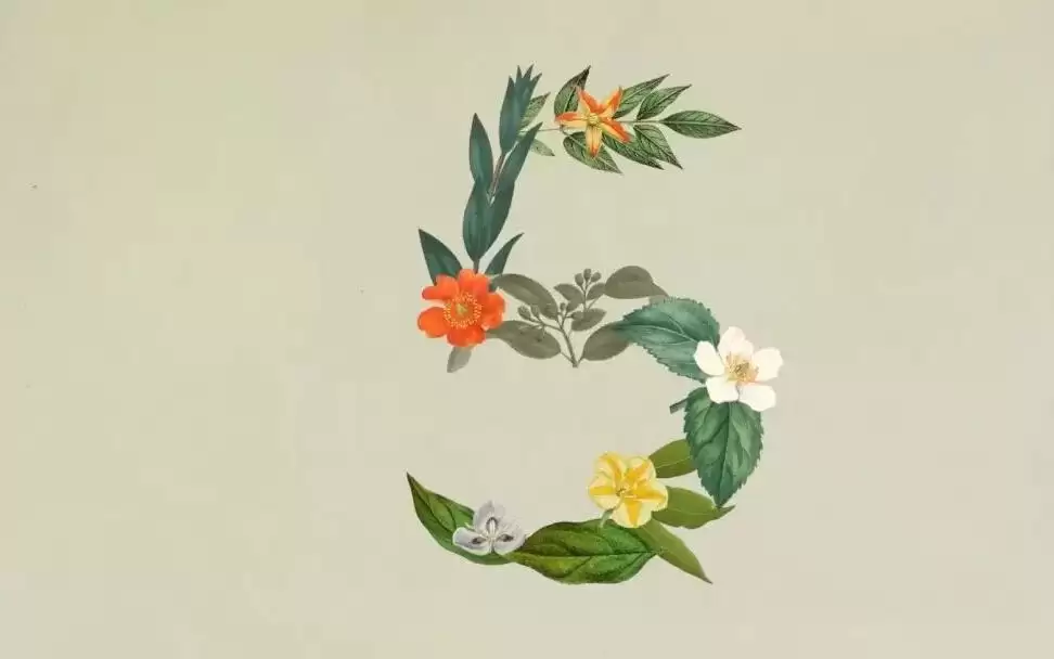 大规模封号后，Claude 突然发布更便宜的新模型