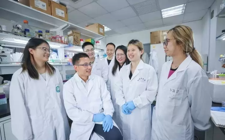 深耕“从0到1”,上海发力基础研究,探索新机制新生态新范式