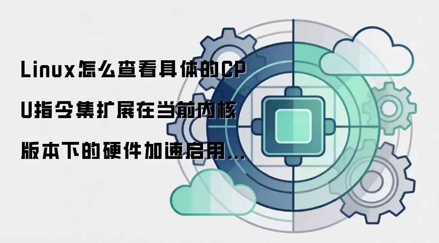Linux怎么查看具体的CPU指令集扩展在当前内核版本下的硬件加速启用状态