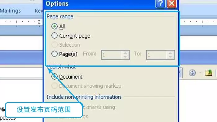 Word 2007设置PDF发布范围
