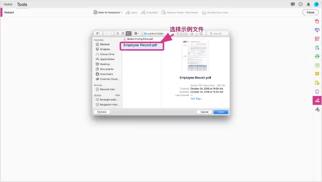 选择需要执行密文处理的 PDF 文件