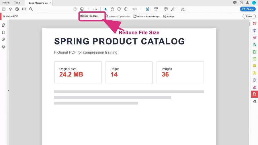 在顶部菜单选择 Reduce File Size