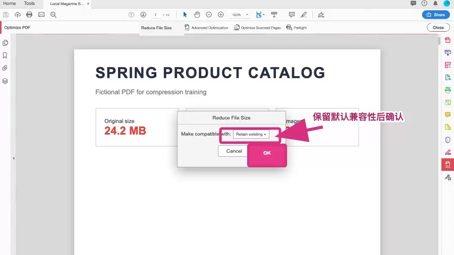 设置 Acrobat 版本兼容性并确认