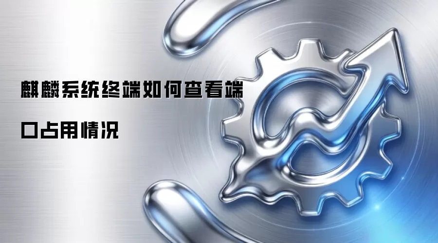 麒麟系统终端如何查看端口占用情况